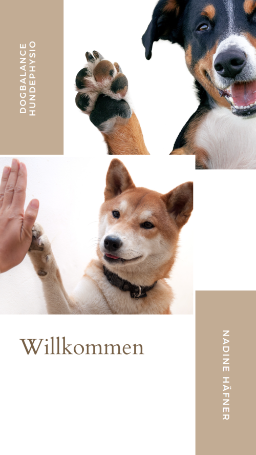 ´Willkommen